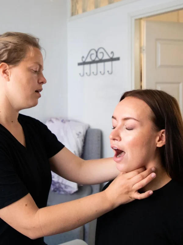 Therapist Certification Training